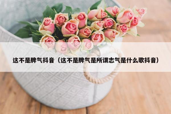 这不是脾气抖音（这不是脾气是所谓志气是什么歌抖音）