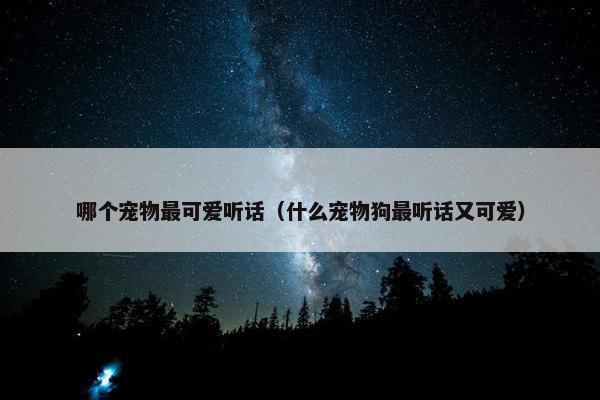 哪个宠物最可爱听话（什么宠物狗最听话又可爱）