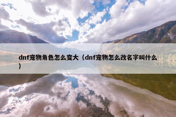 dnf宠物角色怎么变大（dnf宠物怎么改名字叫什么）