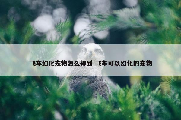 飞车幻化宠物怎么得到 飞车可以幻化的宠物