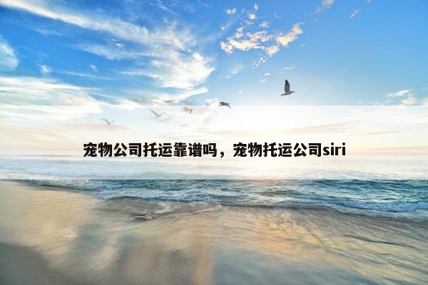 宠物公司托运靠谱吗，宠物托运公司siri