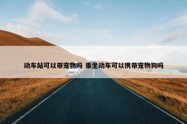 动车站可以带宠物吗 乘坐动车可以携带宠物狗吗