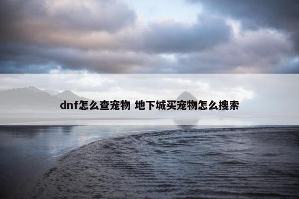 dnf怎么查宠物 地下城买宠物怎么搜索