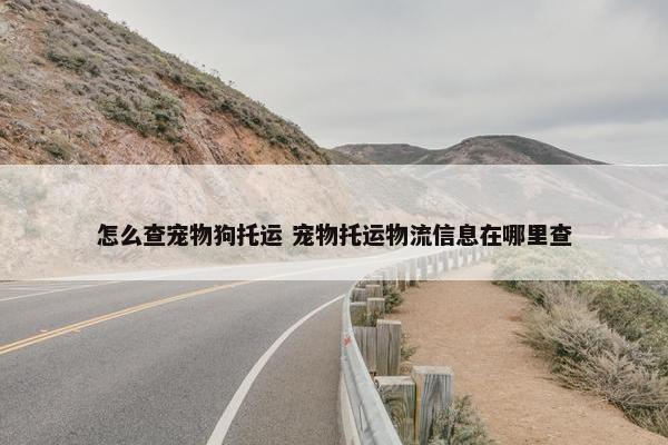 怎么查宠物狗托运 宠物托运物流信息在哪里查