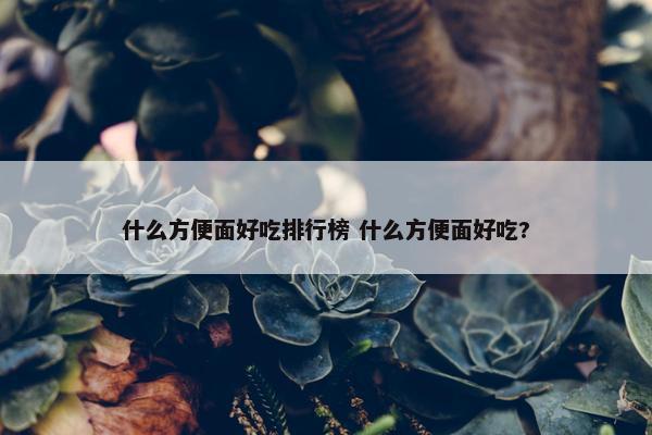 什么方便面好吃排行榜 什么方便面好吃?