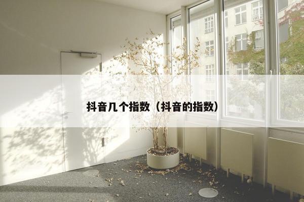 抖音几个指数（抖音的指数）