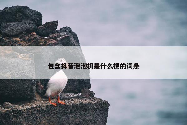 包含抖音泡泡机是什么梗的词条