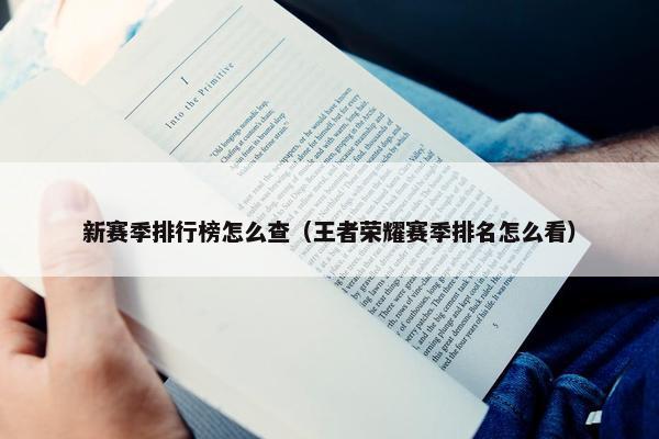 新赛季排行榜怎么查（王者荣耀赛季排名怎么看）