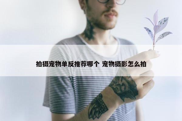 拍摄宠物单反推荐哪个 宠物摄影怎么拍