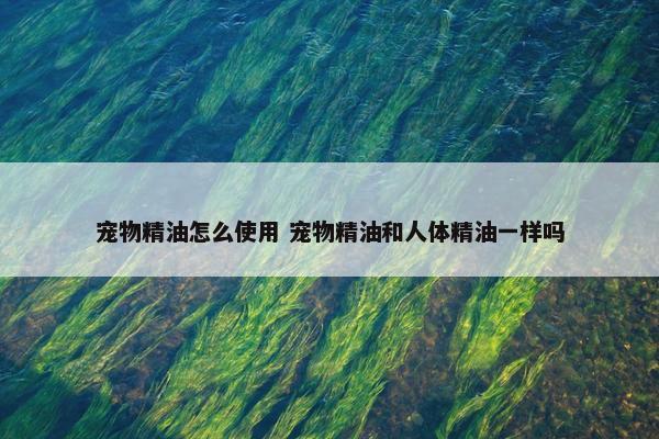 宠物精油怎么使用 宠物精油和人体精油一样吗