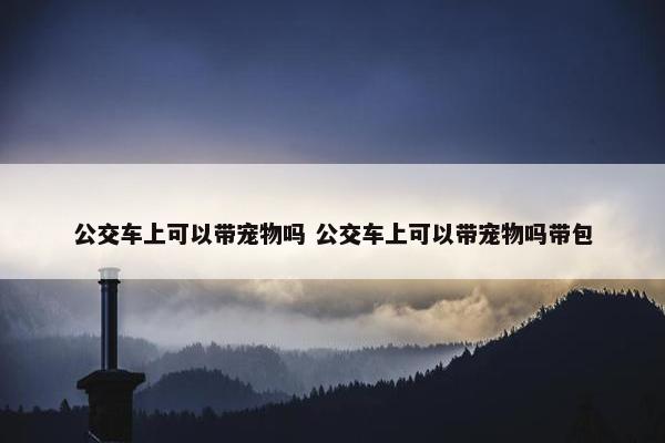 公交车上可以带宠物吗 公交车上可以带宠物吗带包