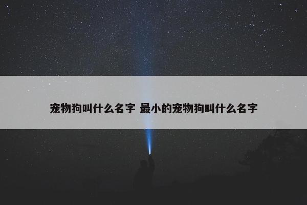 宠物狗叫什么名字 最小的宠物狗叫什么名字