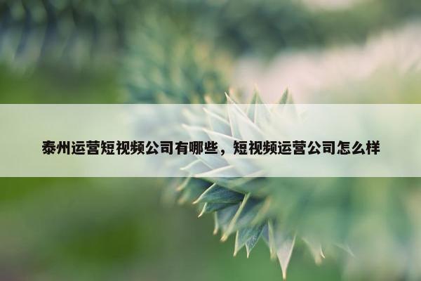 泰州运营短视频公司有哪些，短视频运营公司怎么样