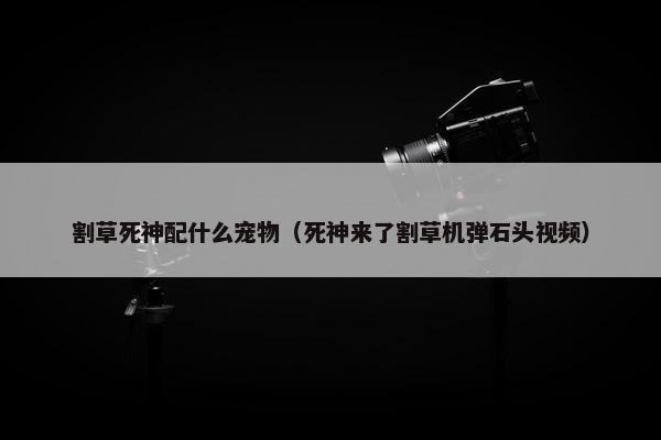 割草死神配什么宠物（死神来了割草机弹石头视频）