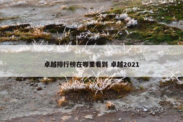 卓越排行榜在哪里看到 卓越2021