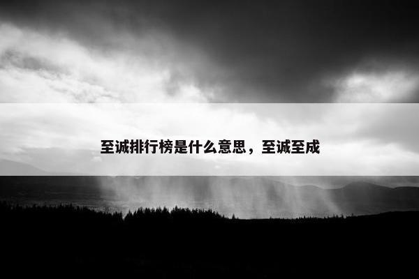 至诚排行榜是什么意思，至诚至成