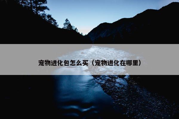 宠物进化包怎么买（宠物进化在哪里）