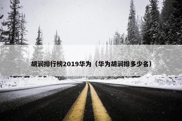 胡润排行榜2019华为（华为胡润排多少名）