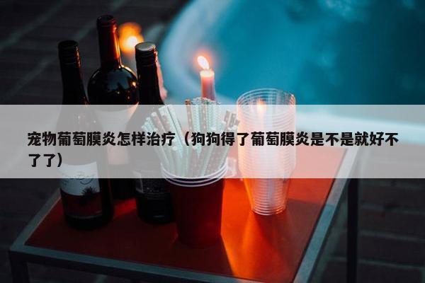 宠物葡萄膜炎怎样治疗（狗狗得了葡萄膜炎是不是就好不了了）