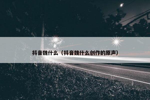 抖音魏什么（抖音魏什么创作的原声）