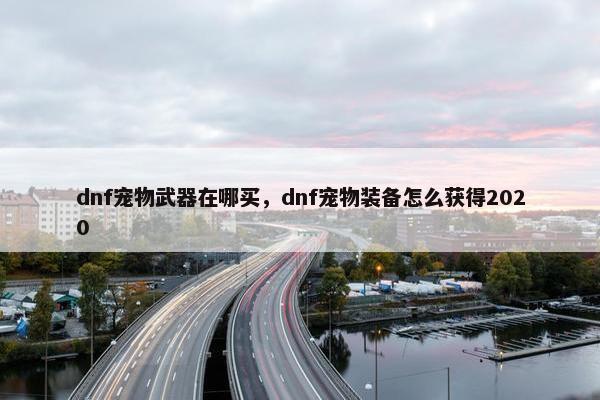 dnf宠物武器在哪买，dnf宠物装备怎么获得2020