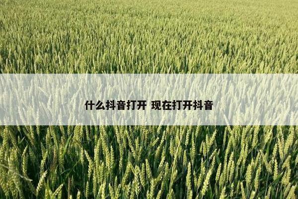 什么抖音打开 现在打开抖音