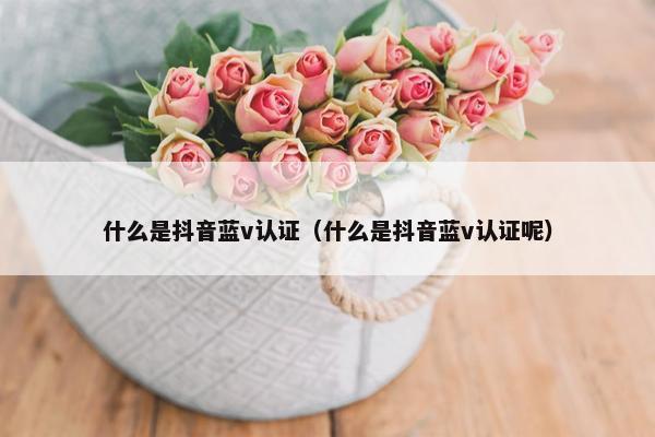 什么是抖音蓝v认证（什么是抖音蓝v认证呢）