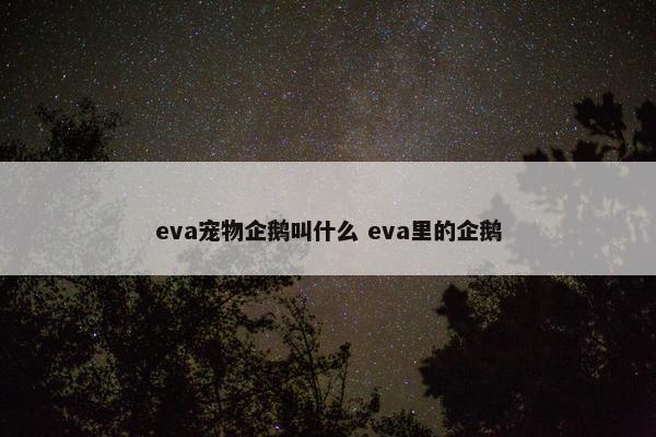 eva宠物企鹅叫什么 eva里的企鹅