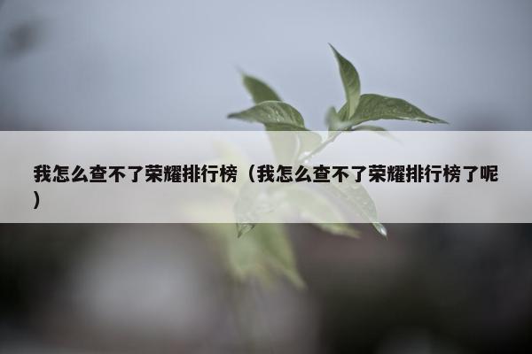 我怎么查不了荣耀排行榜（我怎么查不了荣耀排行榜了呢）