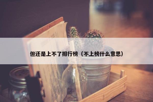 但还是上不了排行榜（不上榜什么意思）