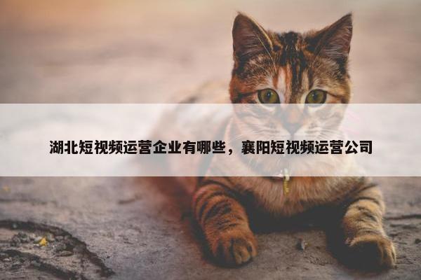 湖北短视频运营企业有哪些，襄阳短视频运营公司