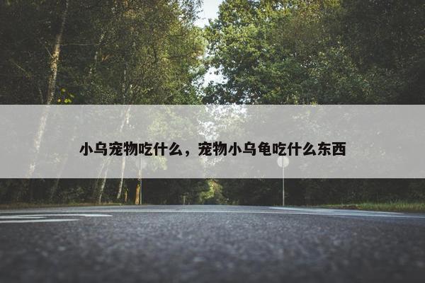 小乌宠物吃什么，宠物小乌龟吃什么东西