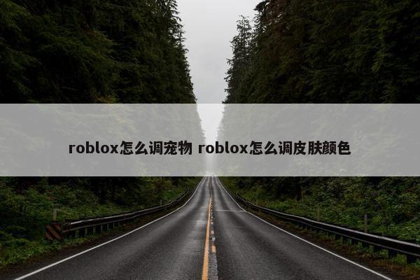 roblox怎么调宠物 roblox怎么调皮肤颜色