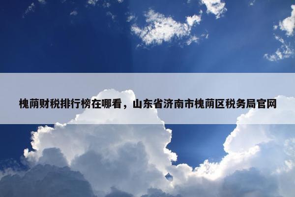 槐荫财税排行榜在哪看，山东省济南市槐荫区税务局官网