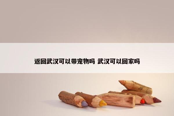 返回武汉可以带宠物吗 武汉可以回家吗