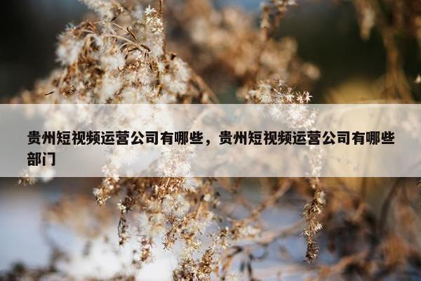 贵州短视频运营公司有哪些，贵州短视频运营公司有哪些部门