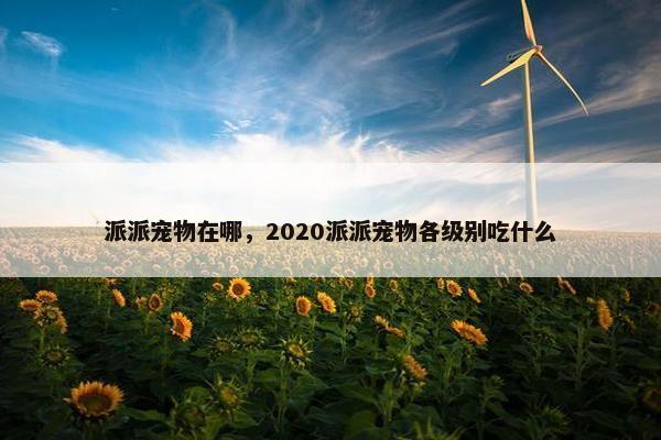 派派宠物在哪，2020派派宠物各级别吃什么