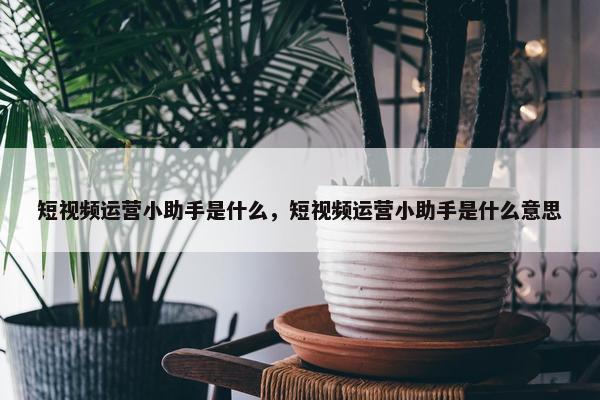 短视频运营小助手是什么，短视频运营小助手是什么意思