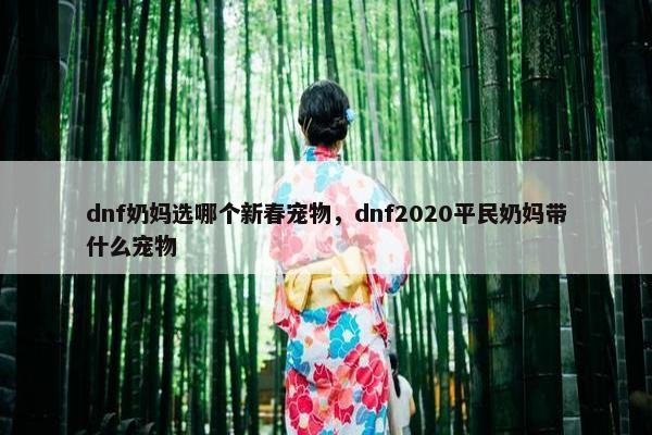 dnf奶妈选哪个新春宠物，dnf2020平民奶妈带什么宠物