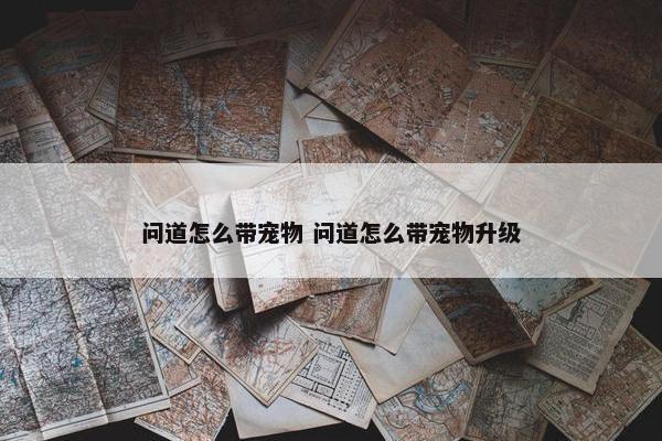 问道怎么带宠物 问道怎么带宠物升级