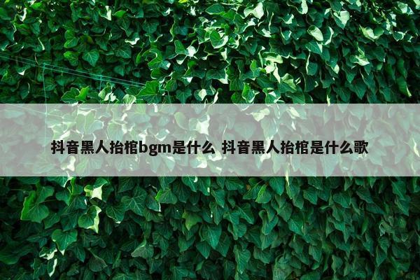 抖音黑人抬棺bgm是什么 抖音黑人抬棺是什么歌