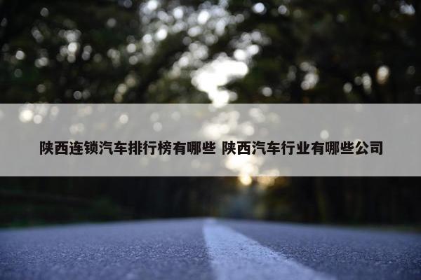 陕西连锁汽车排行榜有哪些 陕西汽车行业有哪些公司