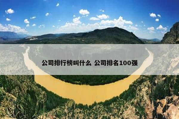 公司排行榜叫什么 公司排名100强