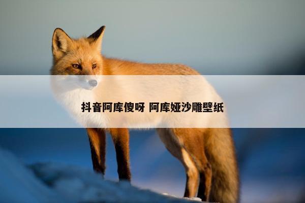 抖音阿库傻呀 阿库娅沙雕壁纸