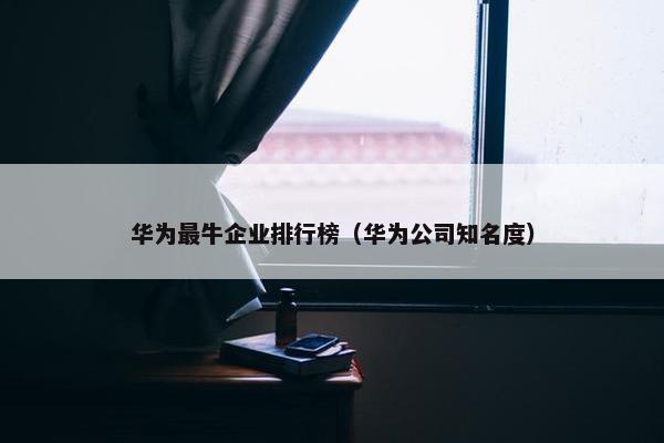 华为最牛企业排行榜（华为公司知名度）