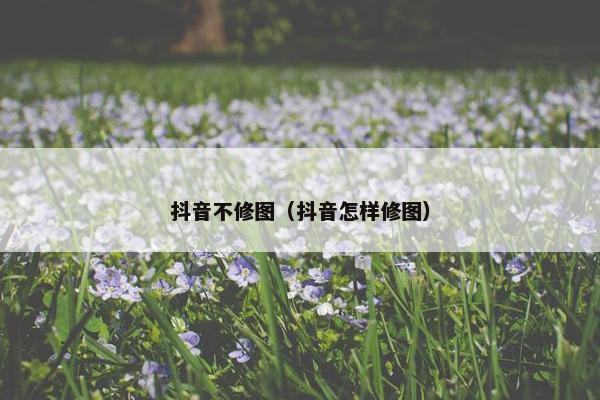 抖音不修图（抖音怎样修图）