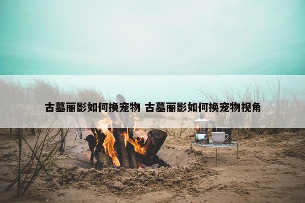 古墓丽影如何换宠物 古墓丽影如何换宠物视角