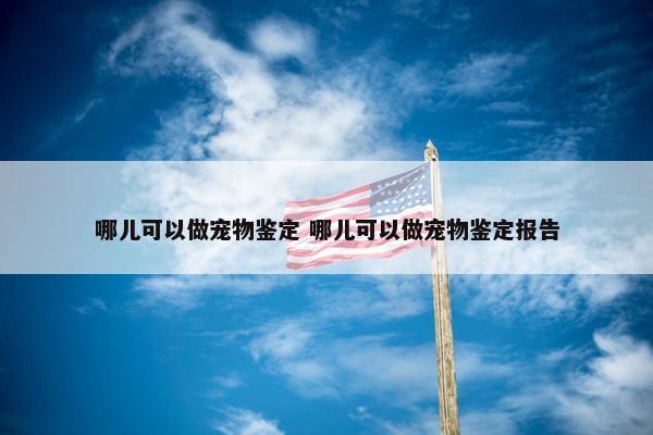 哪儿可以做宠物鉴定 哪儿可以做宠物鉴定报告