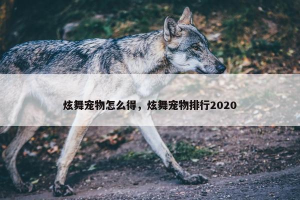 炫舞宠物怎么得，炫舞宠物排行2020