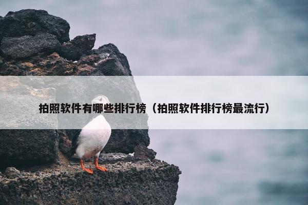 拍照软件有哪些排行榜（拍照软件排行榜最流行）